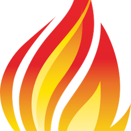 camel-apache-org/fhir